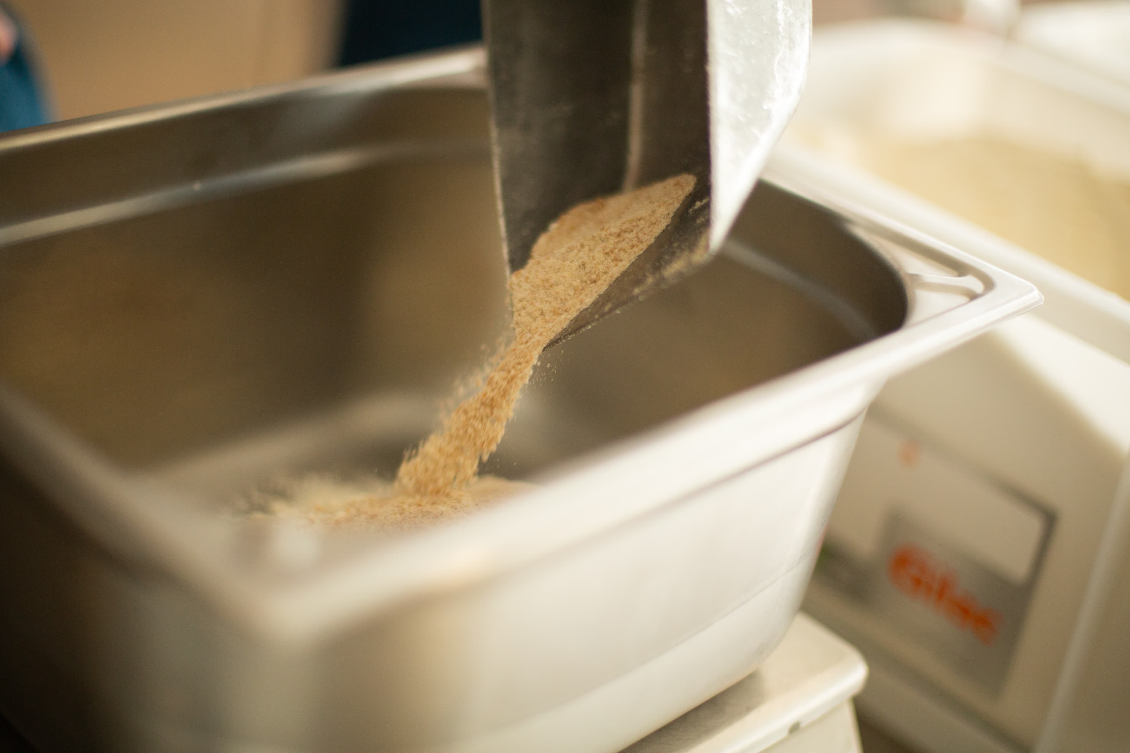 Pâte à pizza en fermentation — bacs de pâtons en maturation