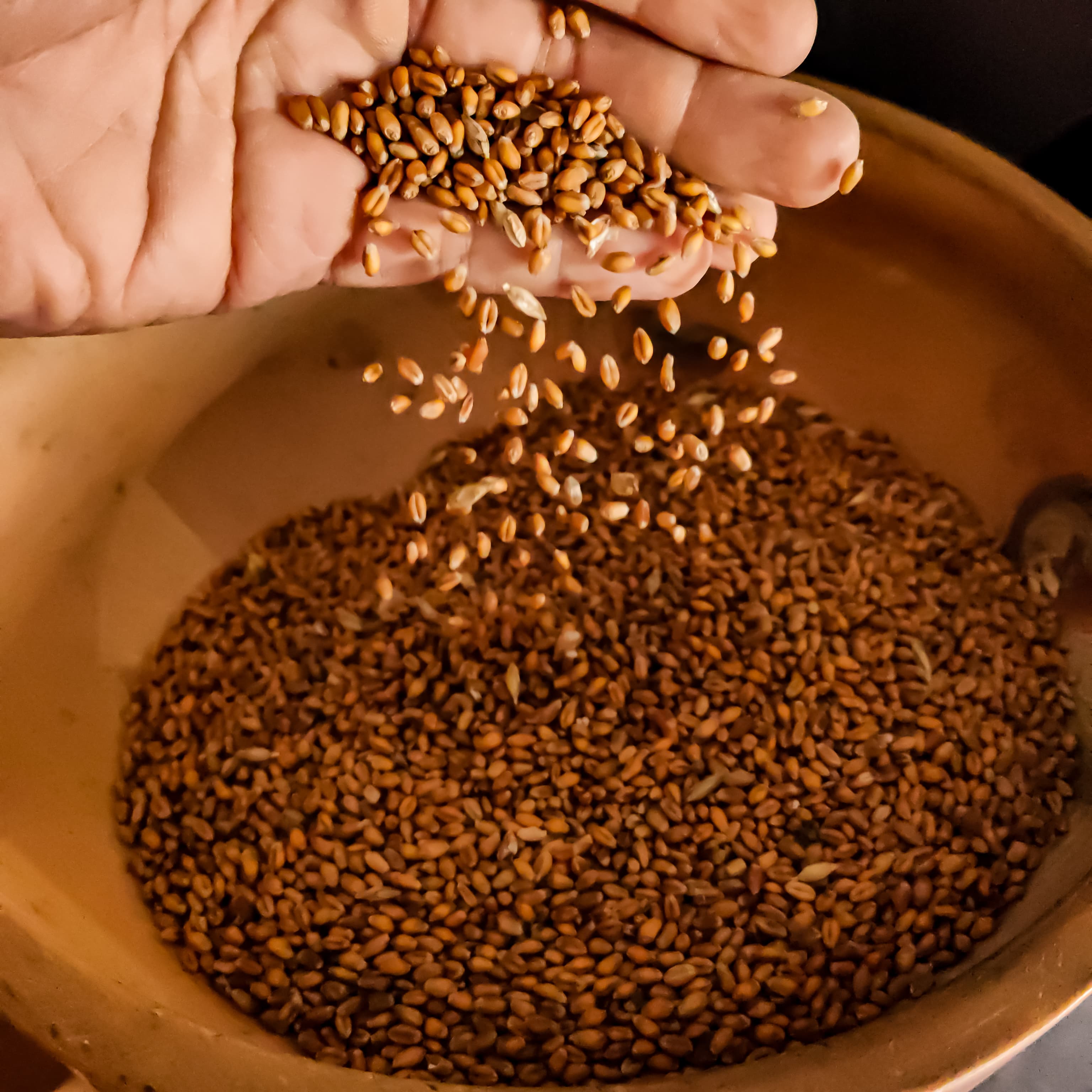 Blé bio de la ferme de Piamot — du grain à la farine