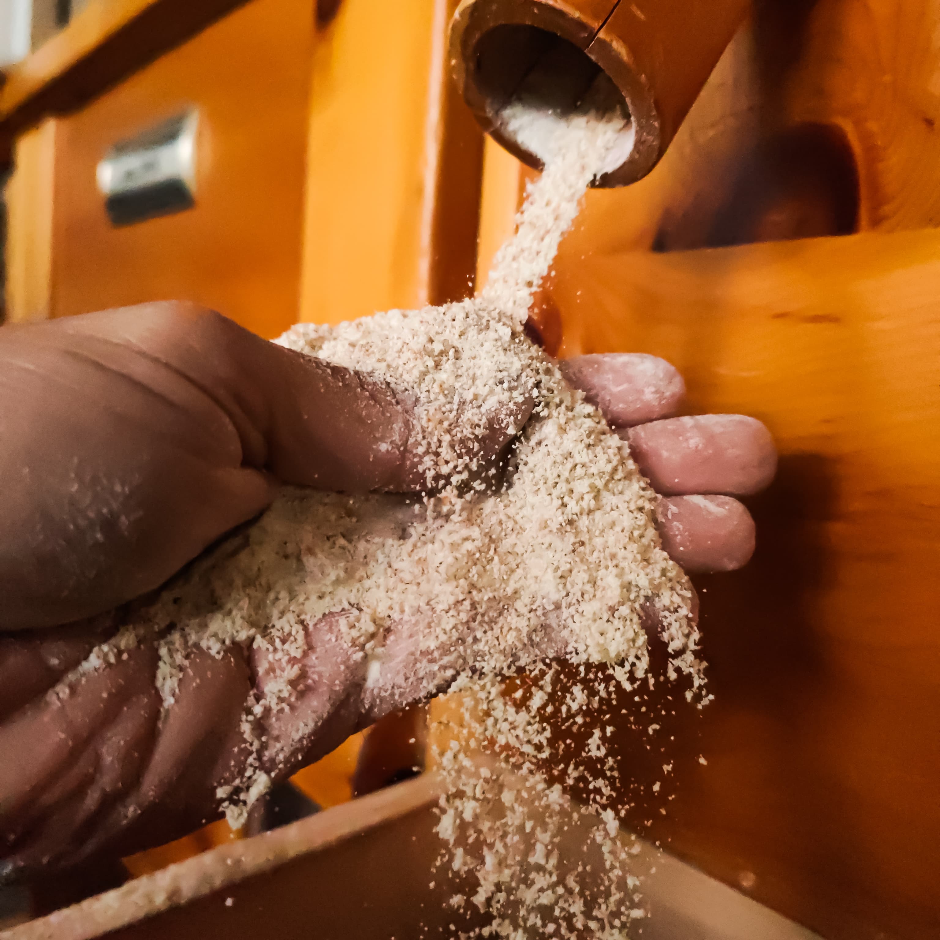 Farine fraîchement moulue à la meule de pierre — moulin artisanal Pizzeria Régine
